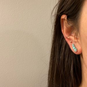 Lucky brand ear crawler earring set!